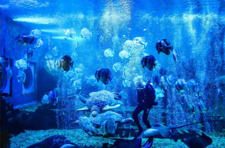 昆明广播电视台