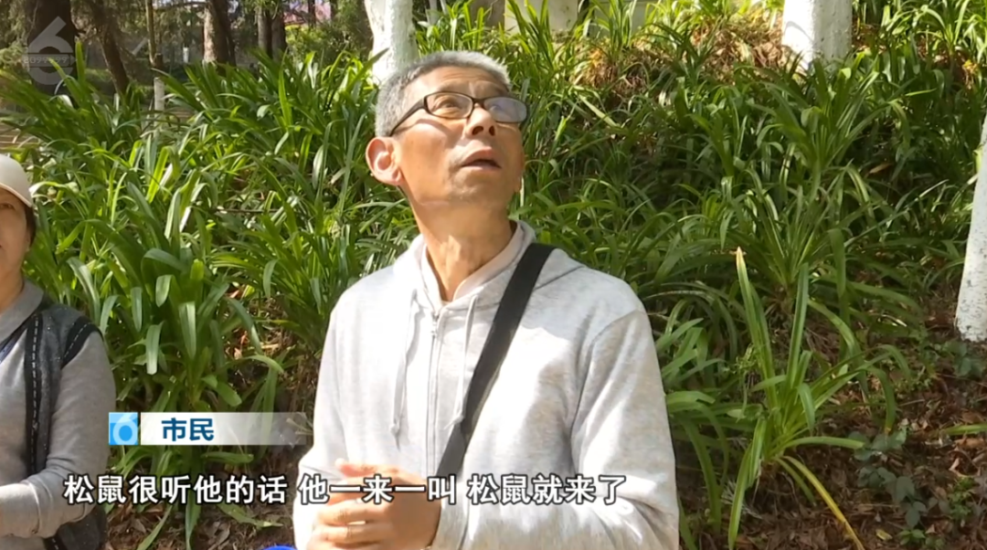 8099999街头巷尾微信