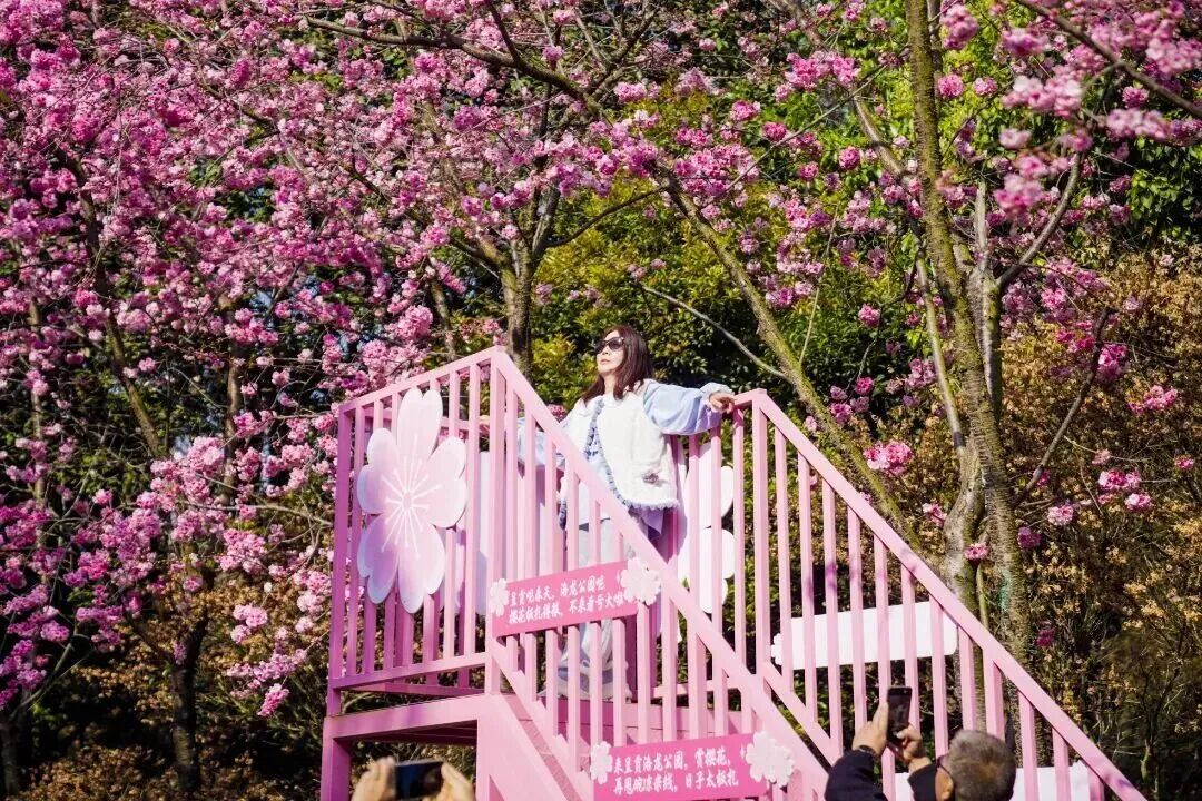 昆明广播电视台