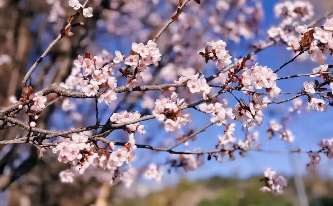 昆明广播电视台