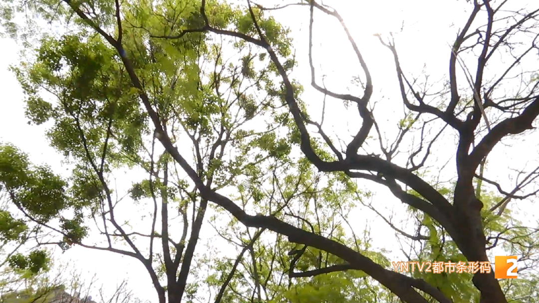 昆明广播电视台