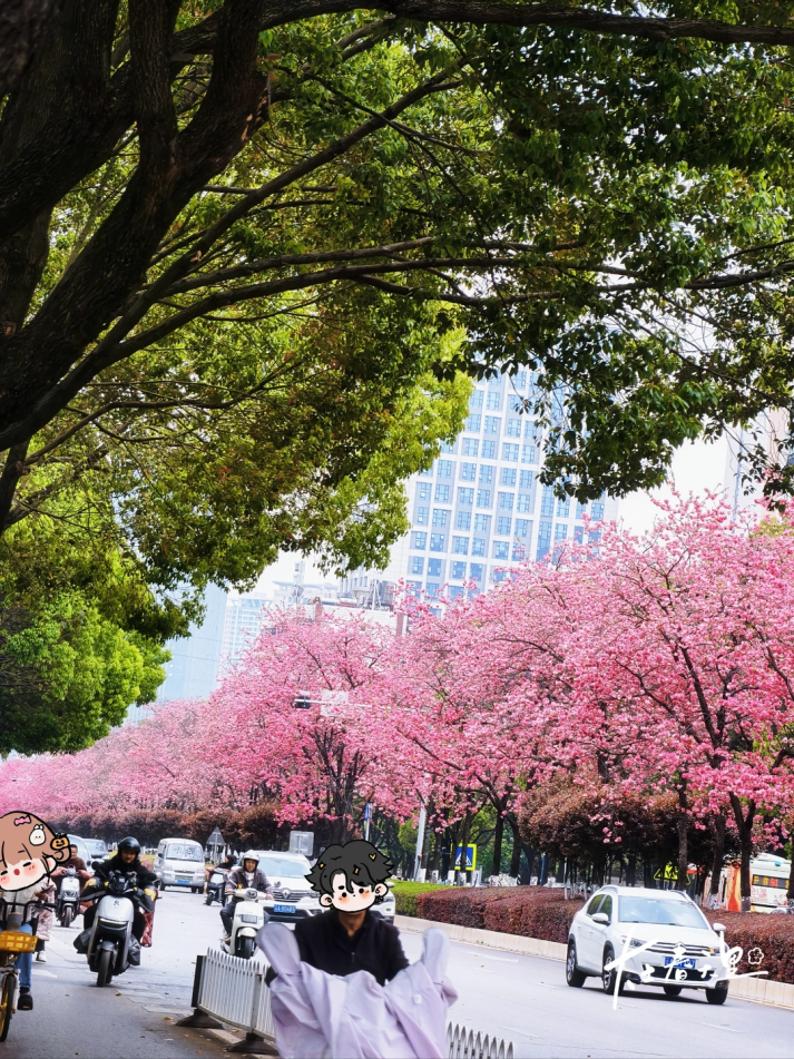 8099999街头巷尾微信