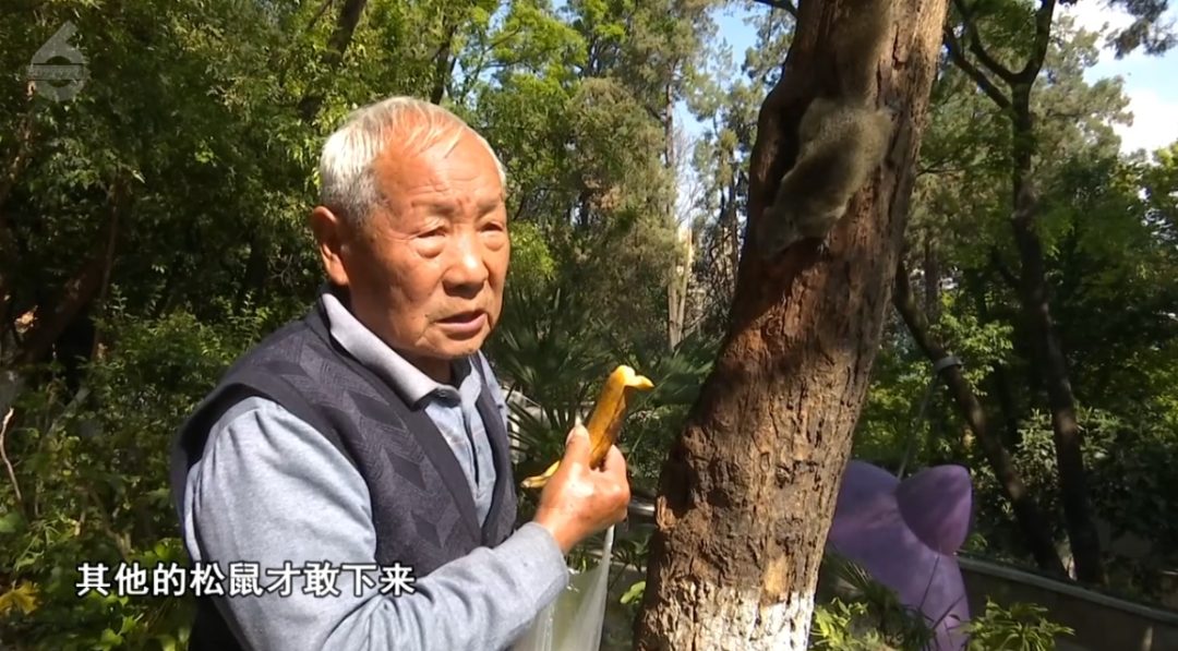 8099999街头巷尾微信