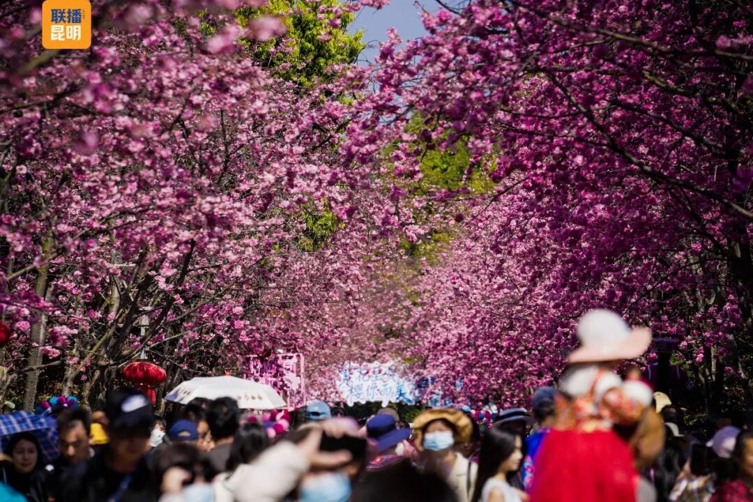 昆明广播电视台