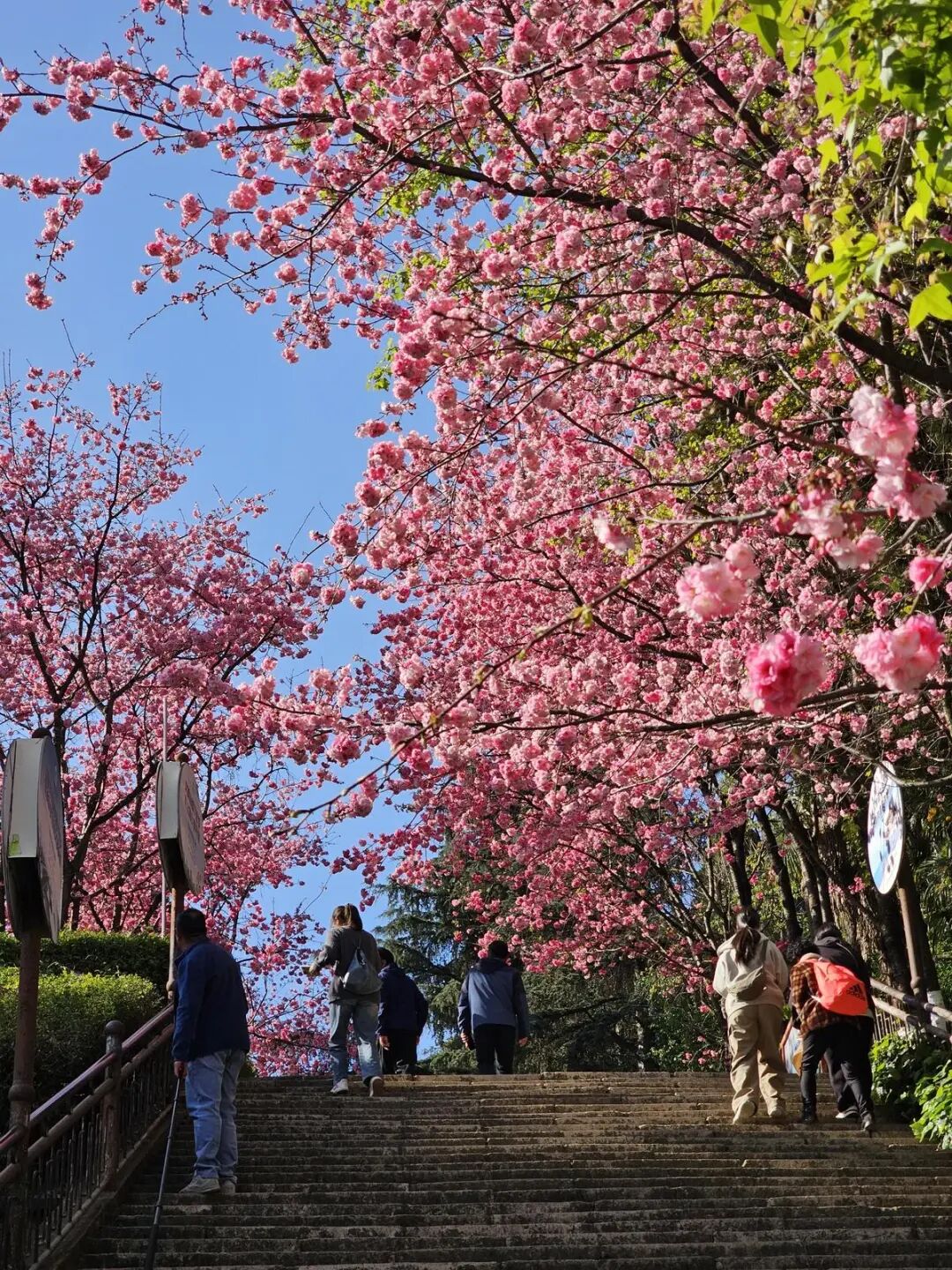 昆明广播电视台经济生活频道