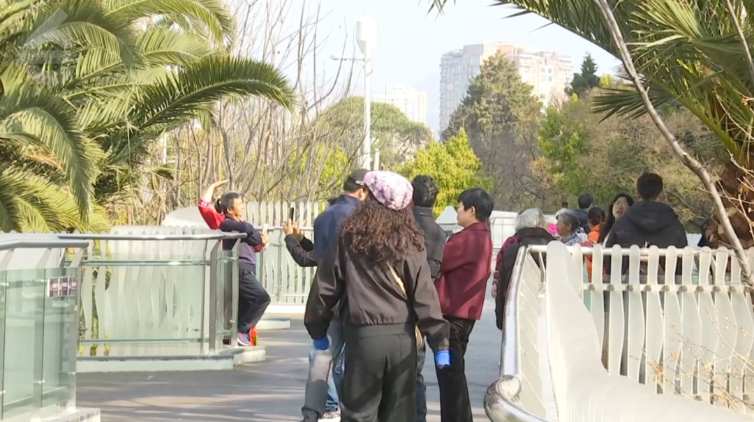 8099999街头巷尾微信