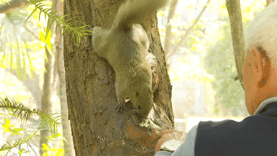 8099999街头巷尾微信