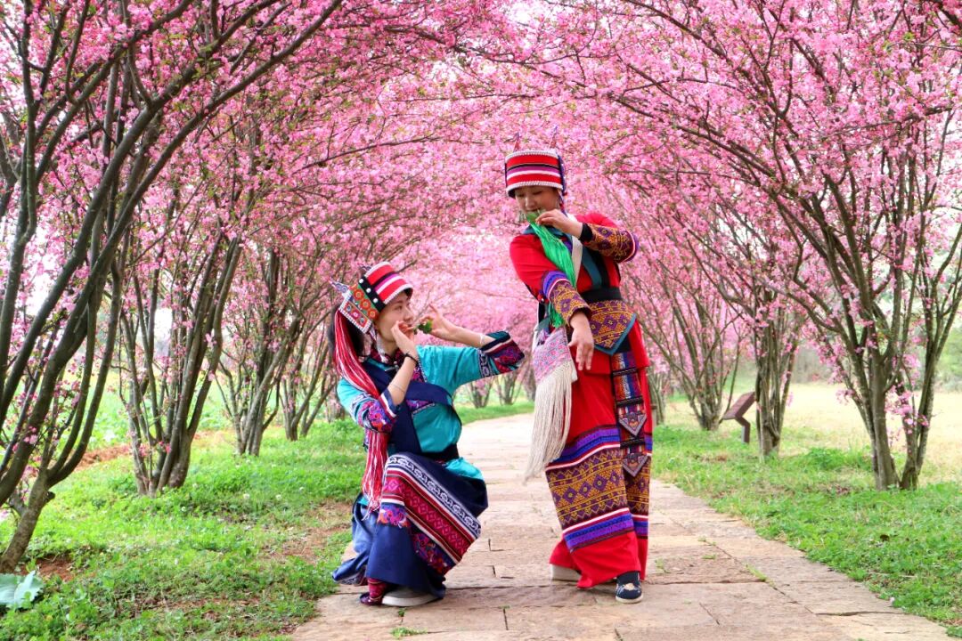 昆明广播电视台经济生活频道