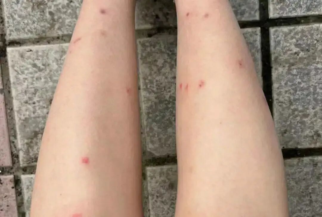 昆明广播电视台