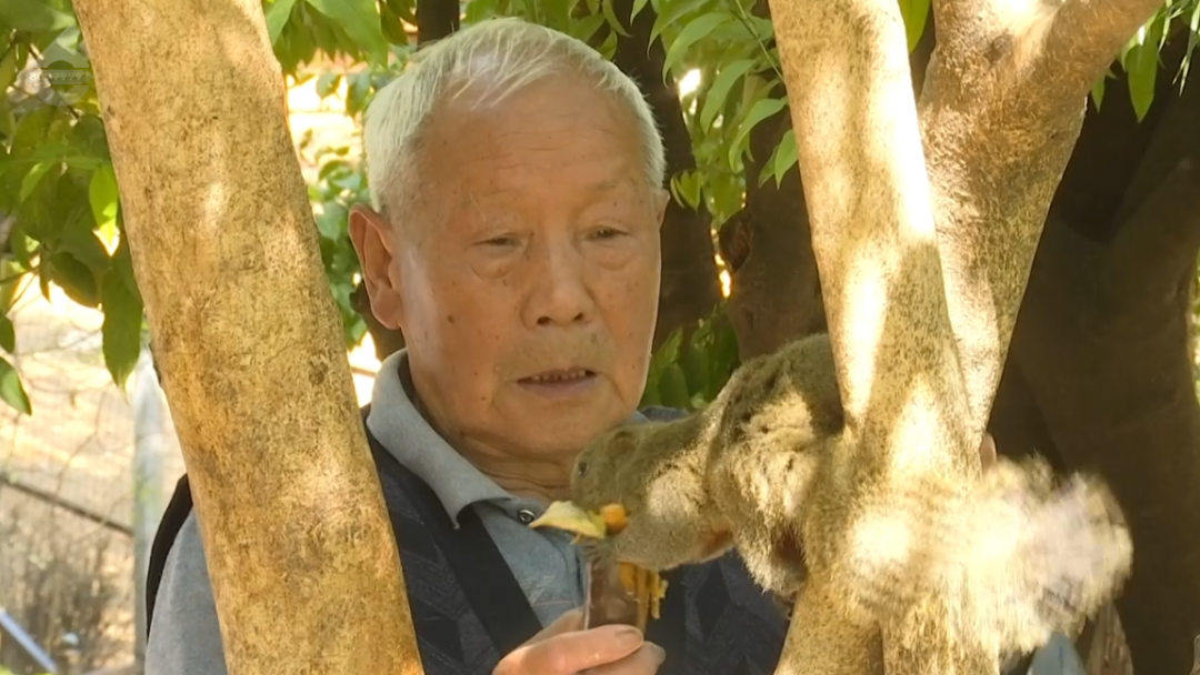 8099999街头巷尾微信