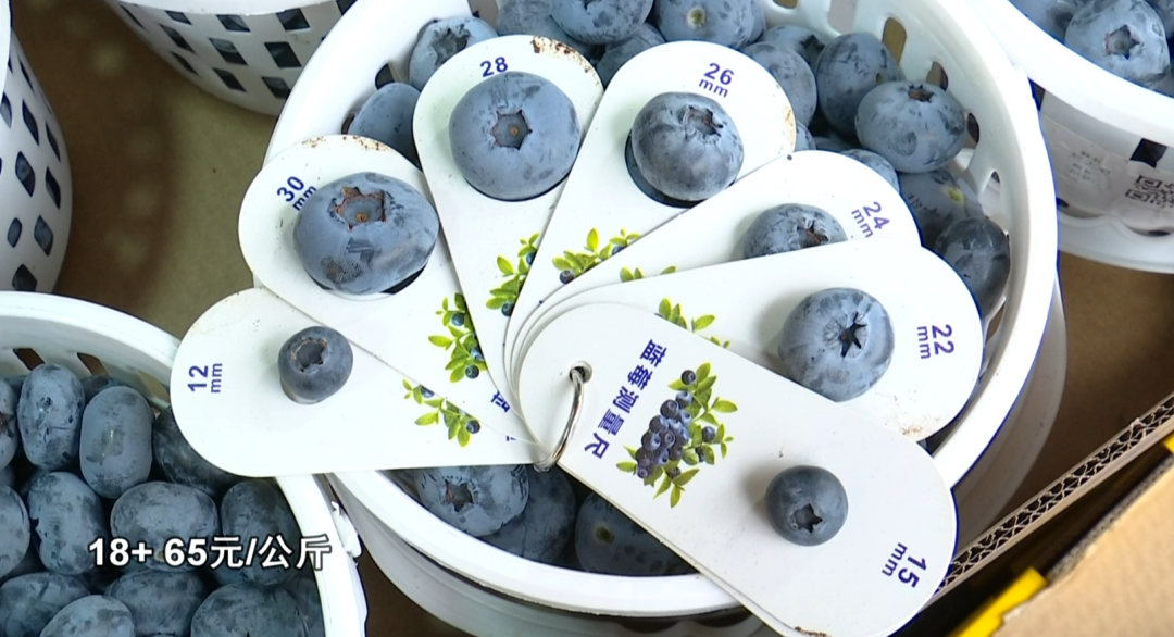 8099999街头巷尾微信