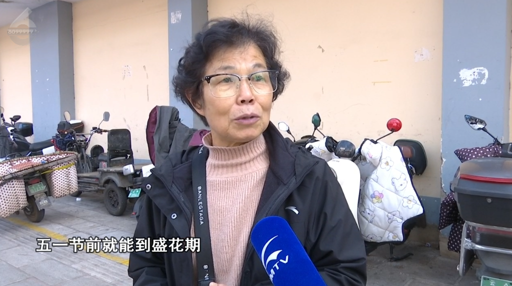 8099999街头巷尾微信