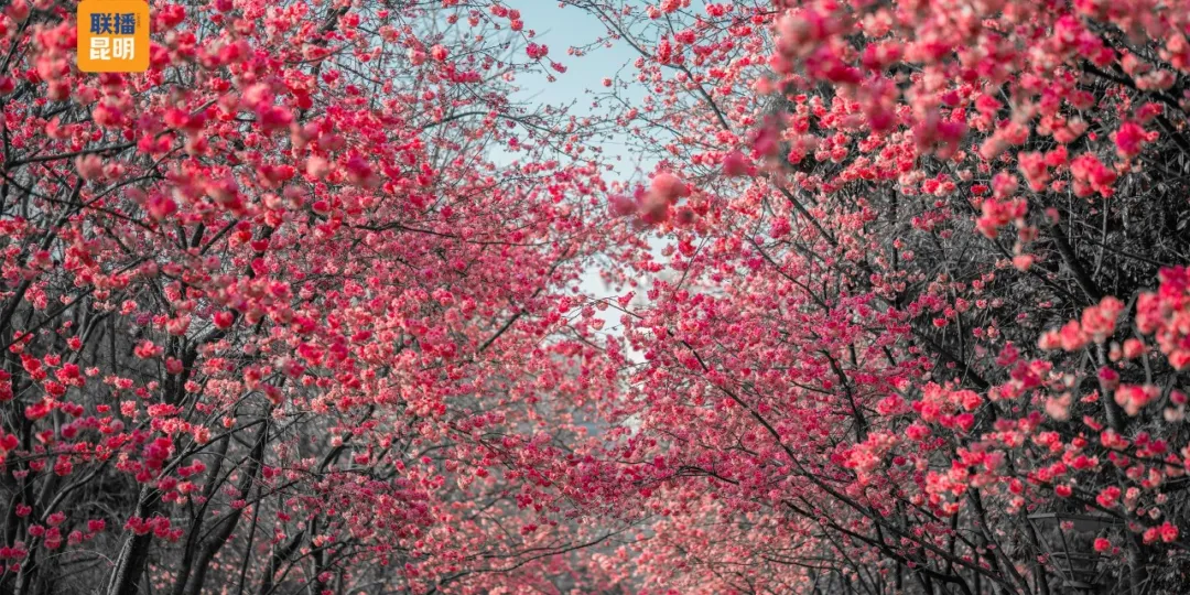 昆明广播电视台经济生活频道