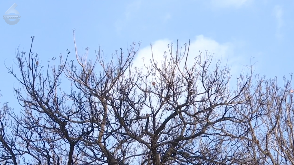 8099999街头巷尾微信