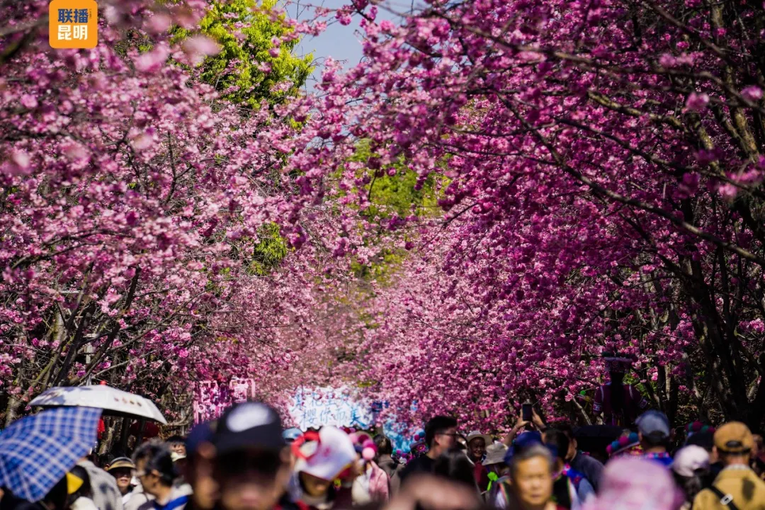 昆明广播电视台经济生活频道