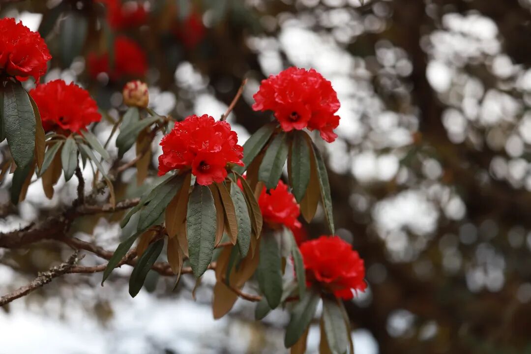 昆明广播电视台经济生活频道