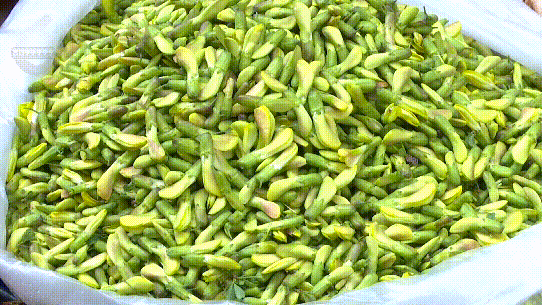 8099999街头巷尾微信