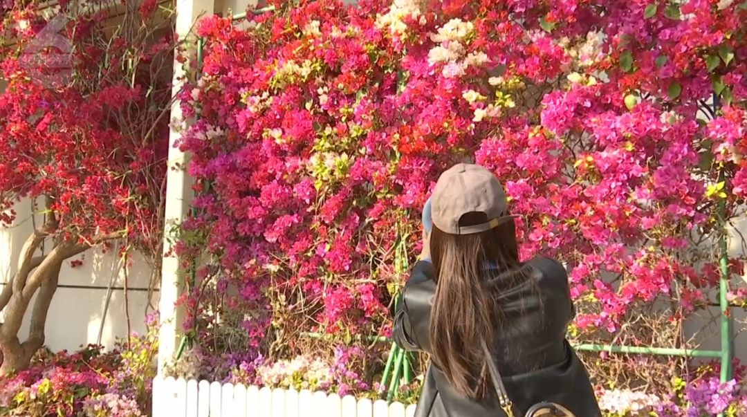 8099999街头巷尾微信