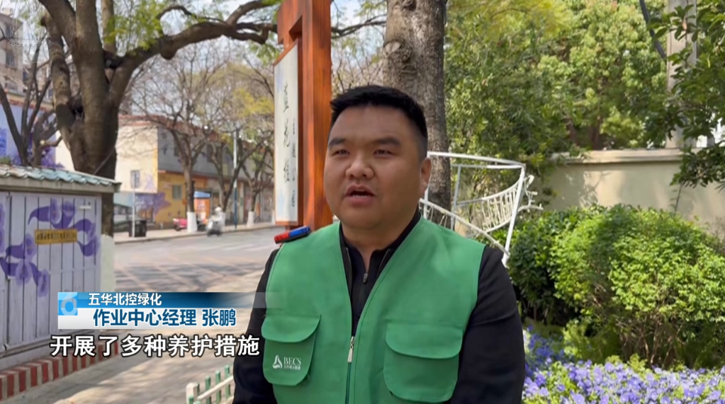 8099999街头巷尾微信