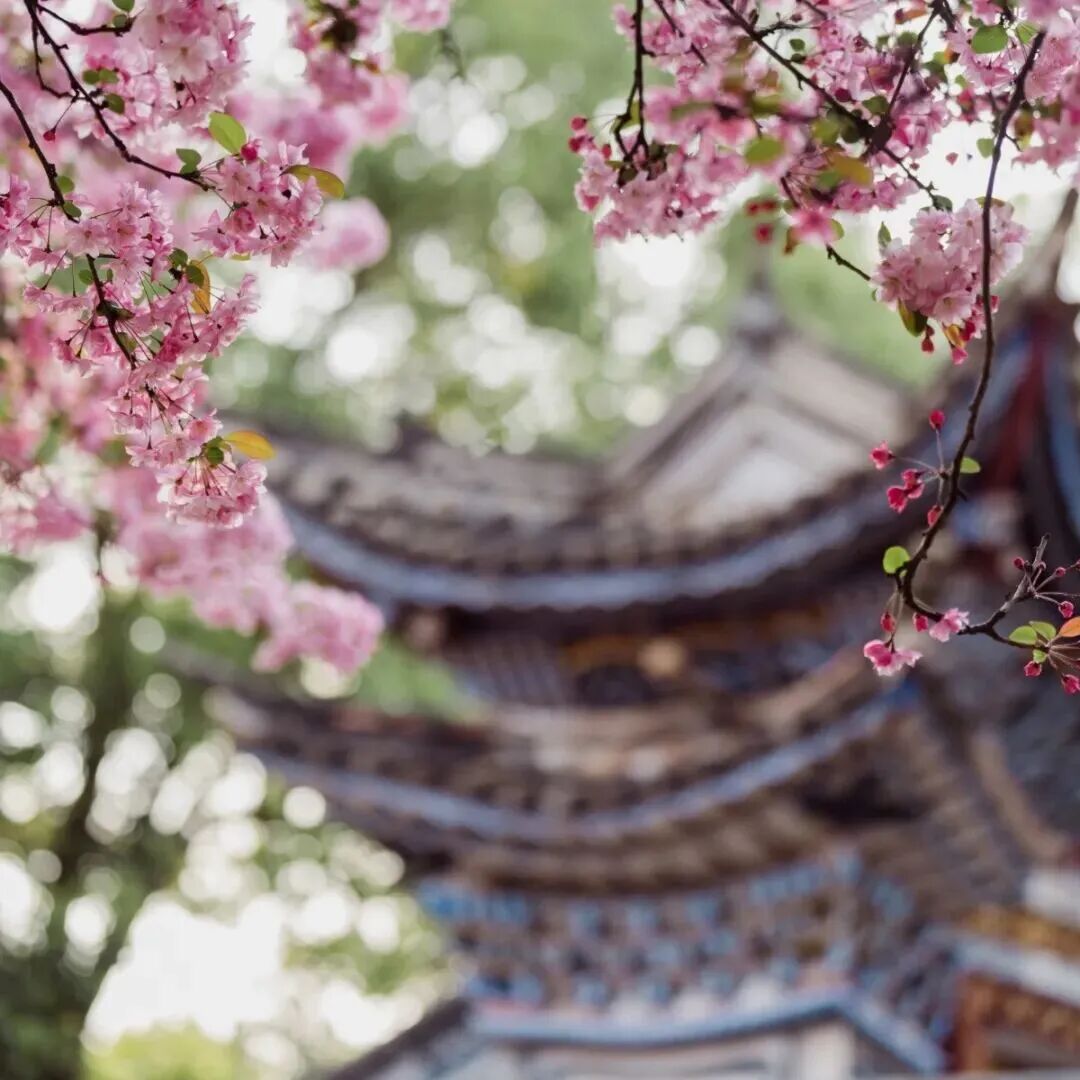 昆明广播电视台经济生活频道