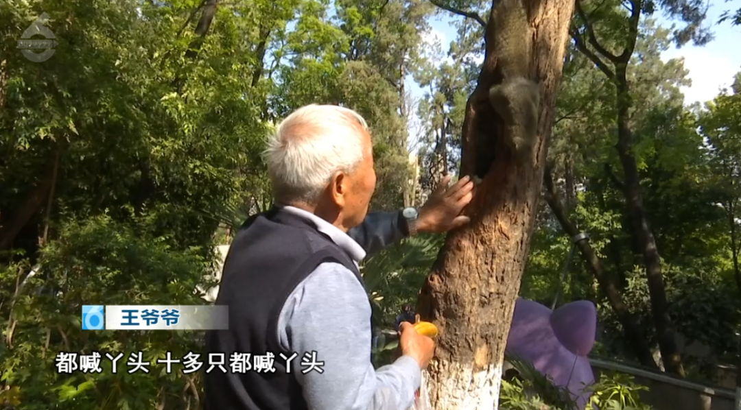 8099999街头巷尾微信