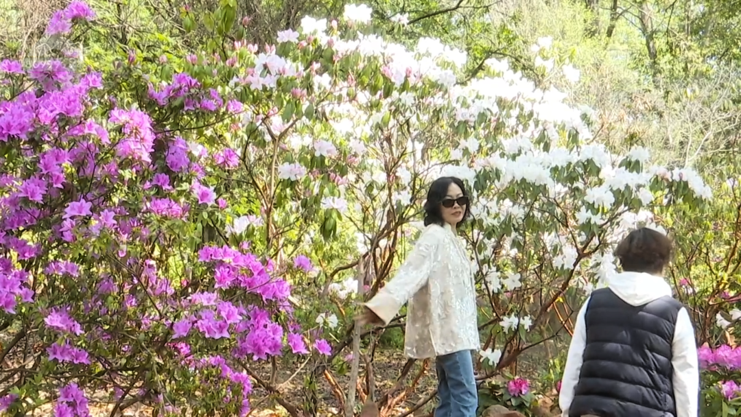 8099999街头巷尾微信