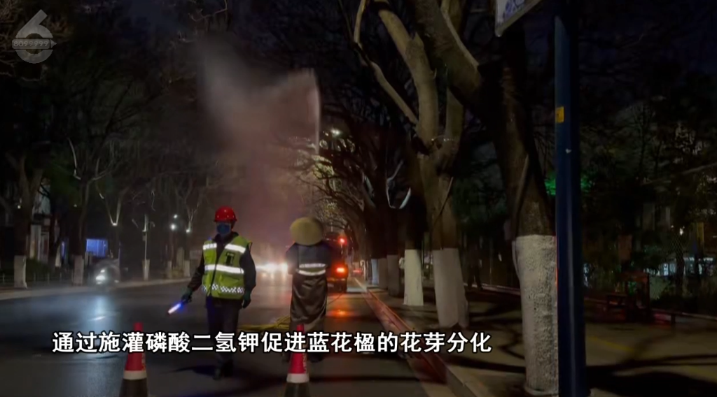 8099999街头巷尾微信