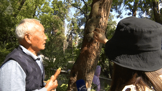 8099999街头巷尾微信