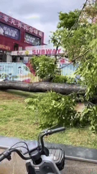 8099999街头巷尾微信