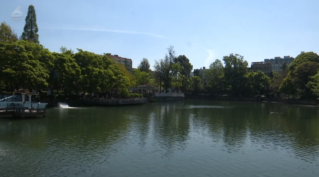 8099999街头巷尾微信