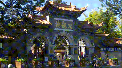 8099999街头巷尾微信