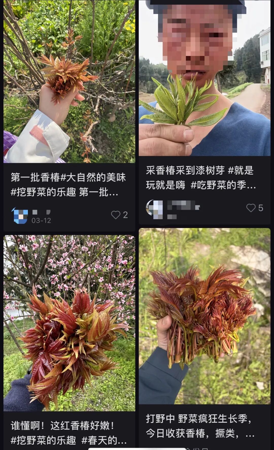 昆明广播电视台