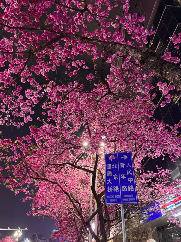 8099999街头巷尾微信