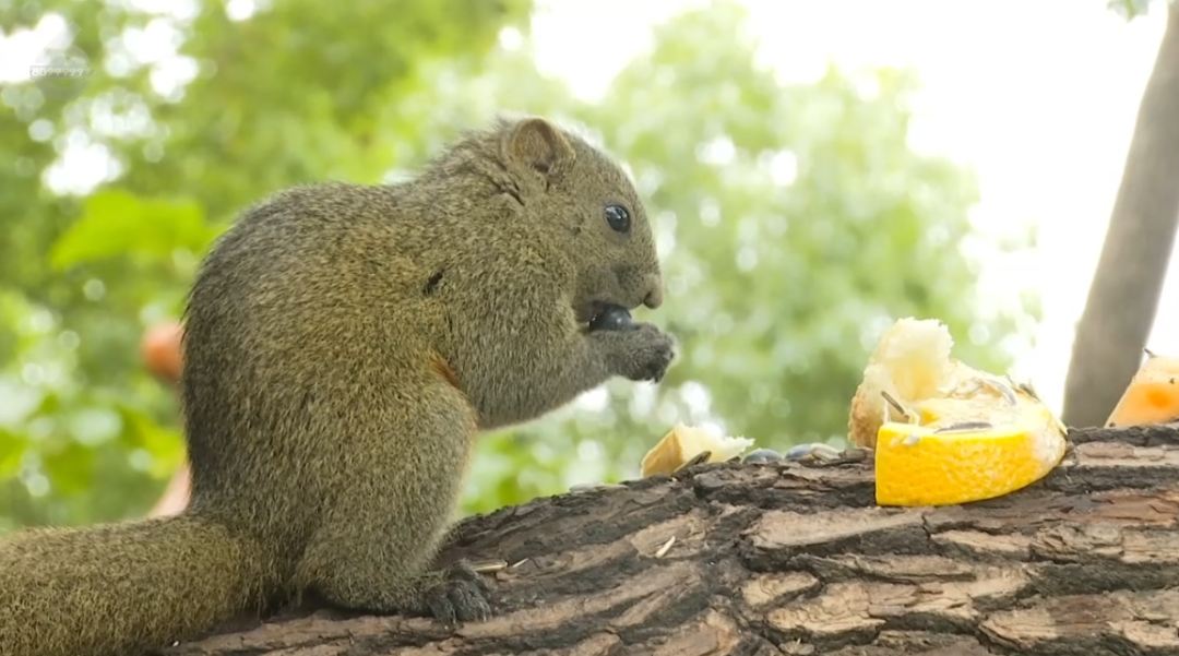 8099999街头巷尾微信