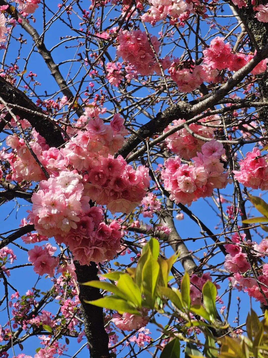 昆明广播电视台经济生活频道