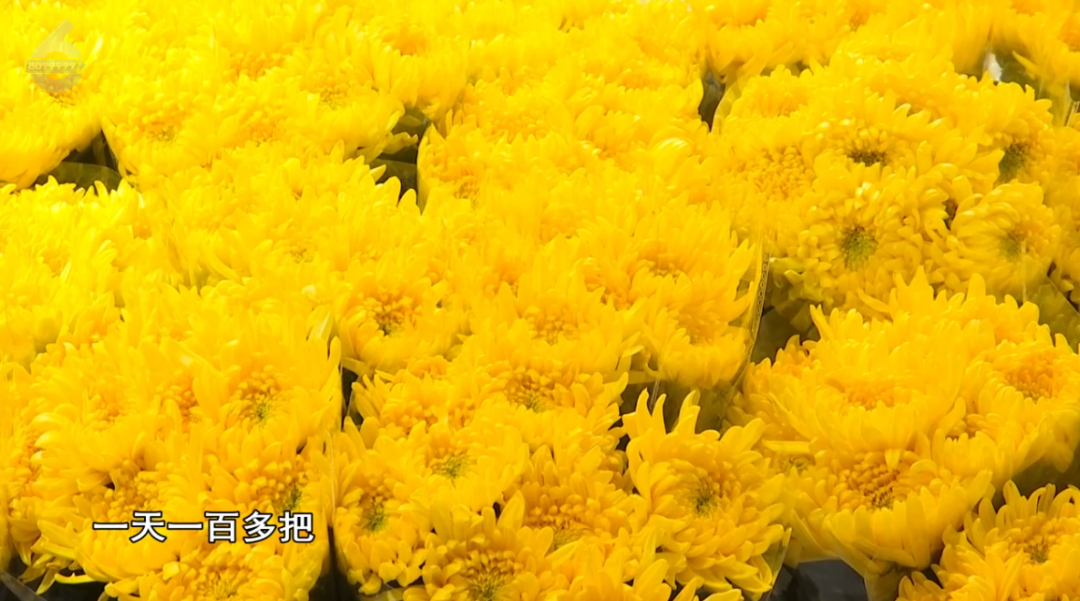 8099999街头巷尾微信