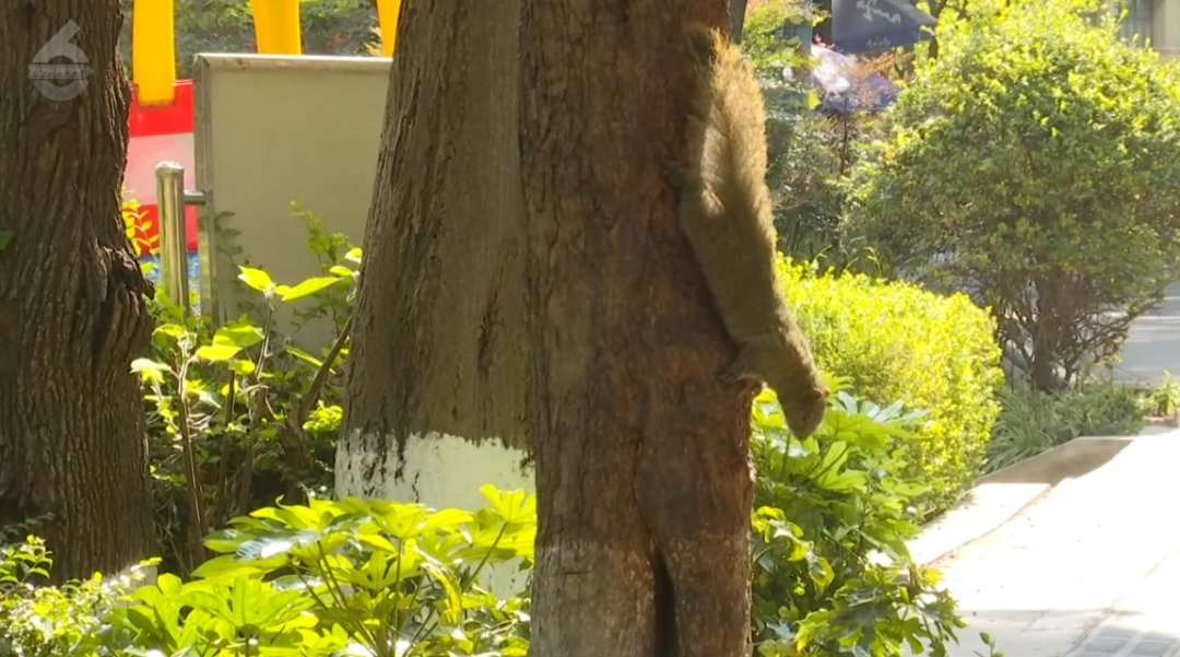 8099999街头巷尾微信