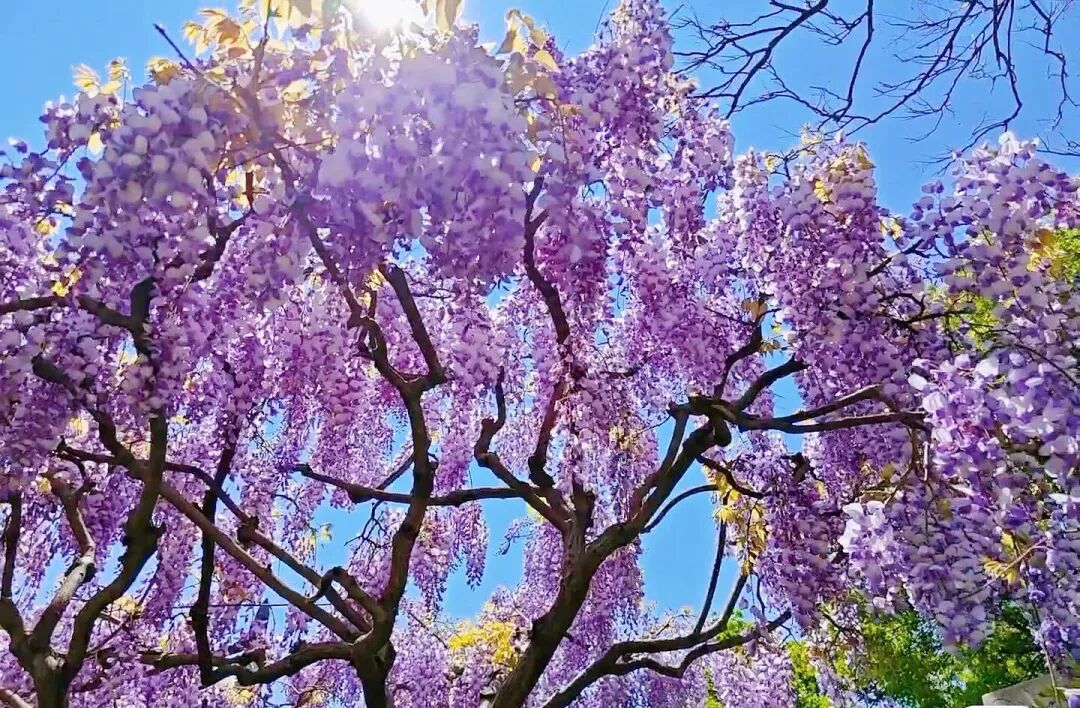 昆明广播电视台经济生活频道