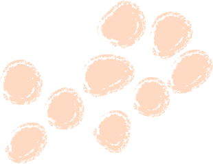 昆明广播电视台经济生活频道