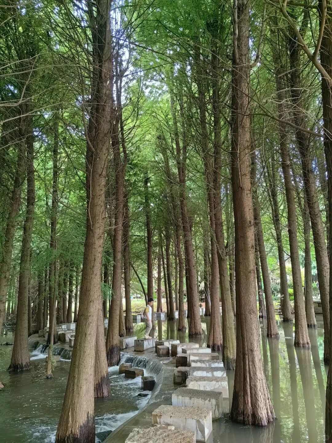 街头巷尾