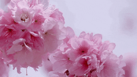 8099999街头巷尾微信