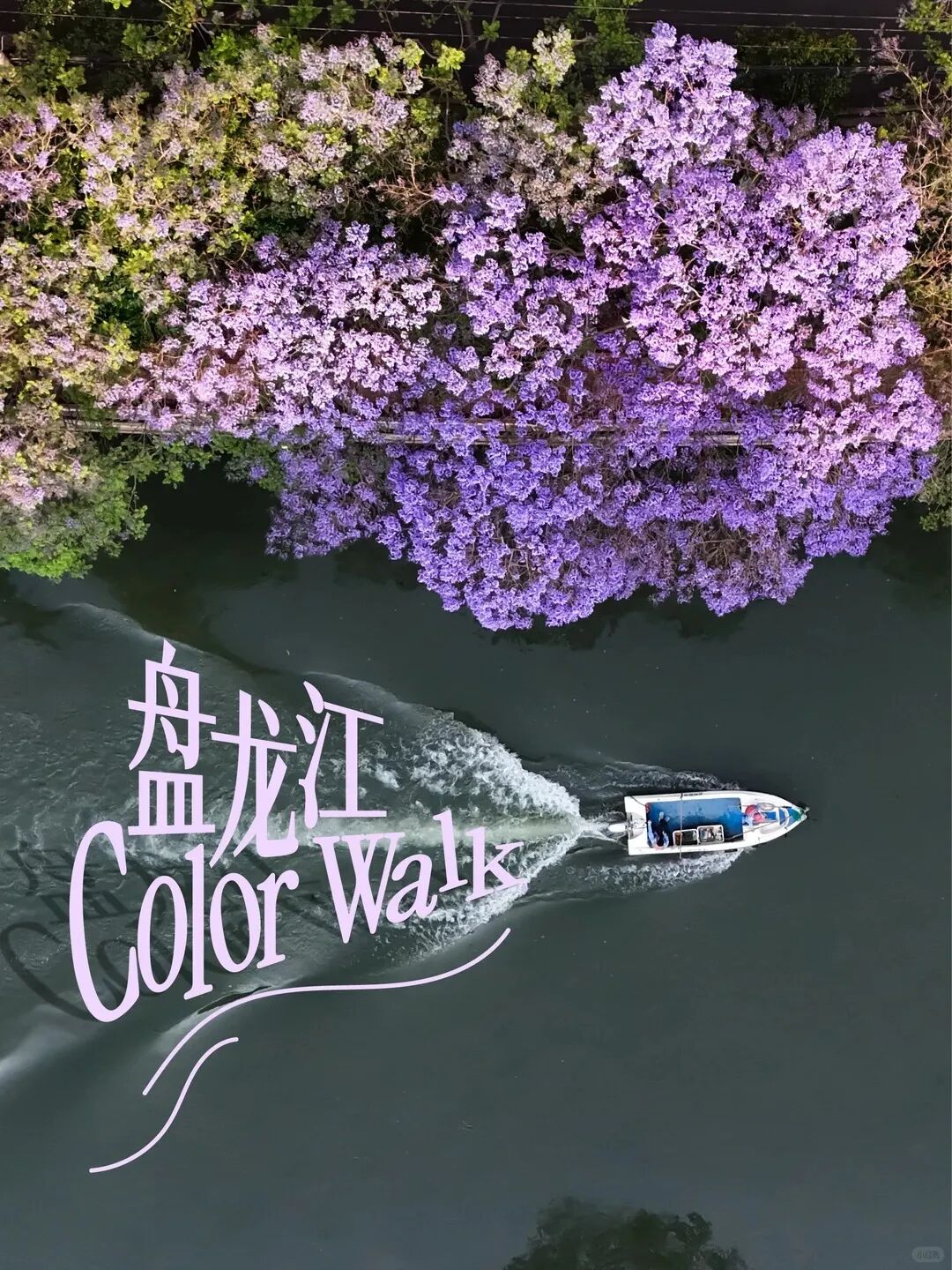 街头巷尾