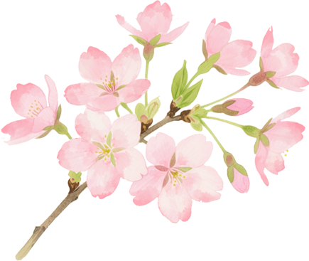 掌上春城微信