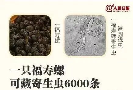 昆明广播电视台