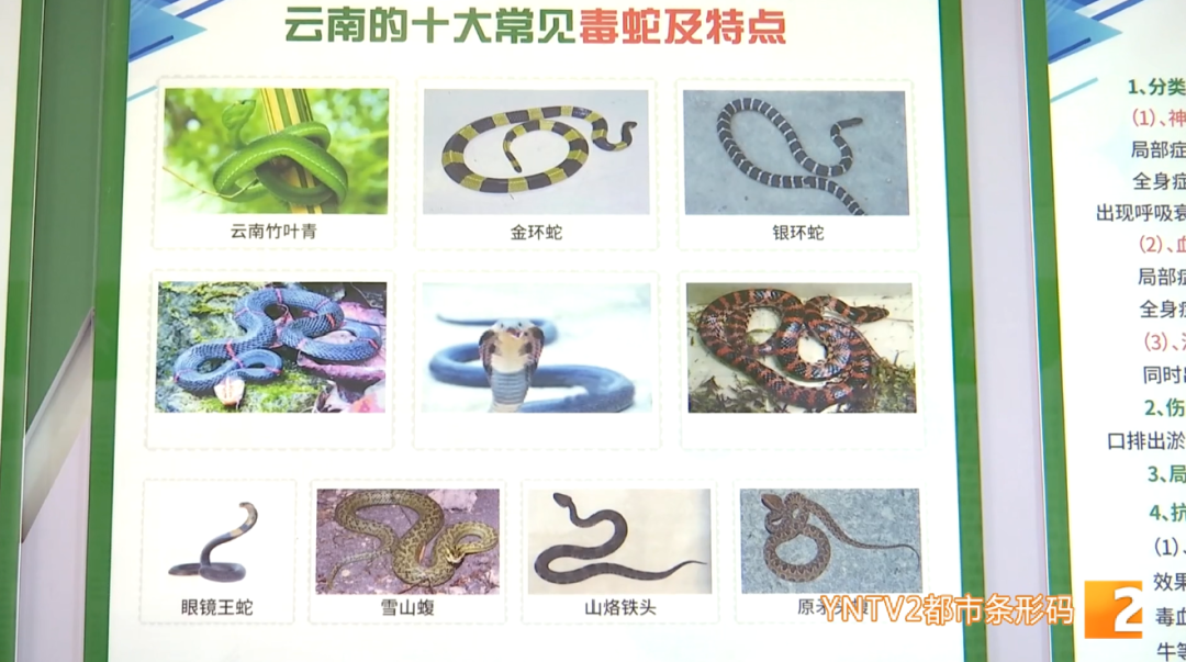 都市时报