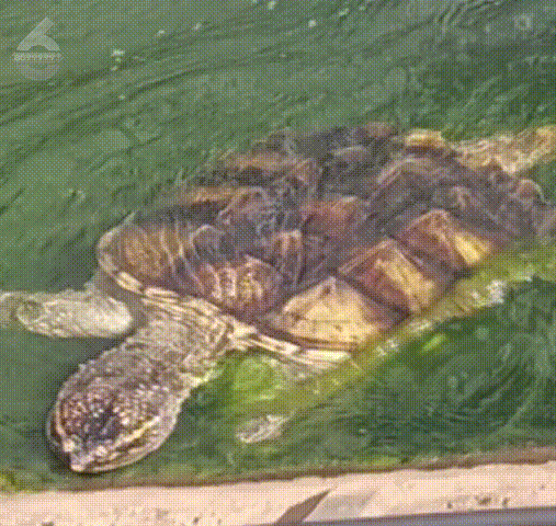 8099999街头巷尾微信