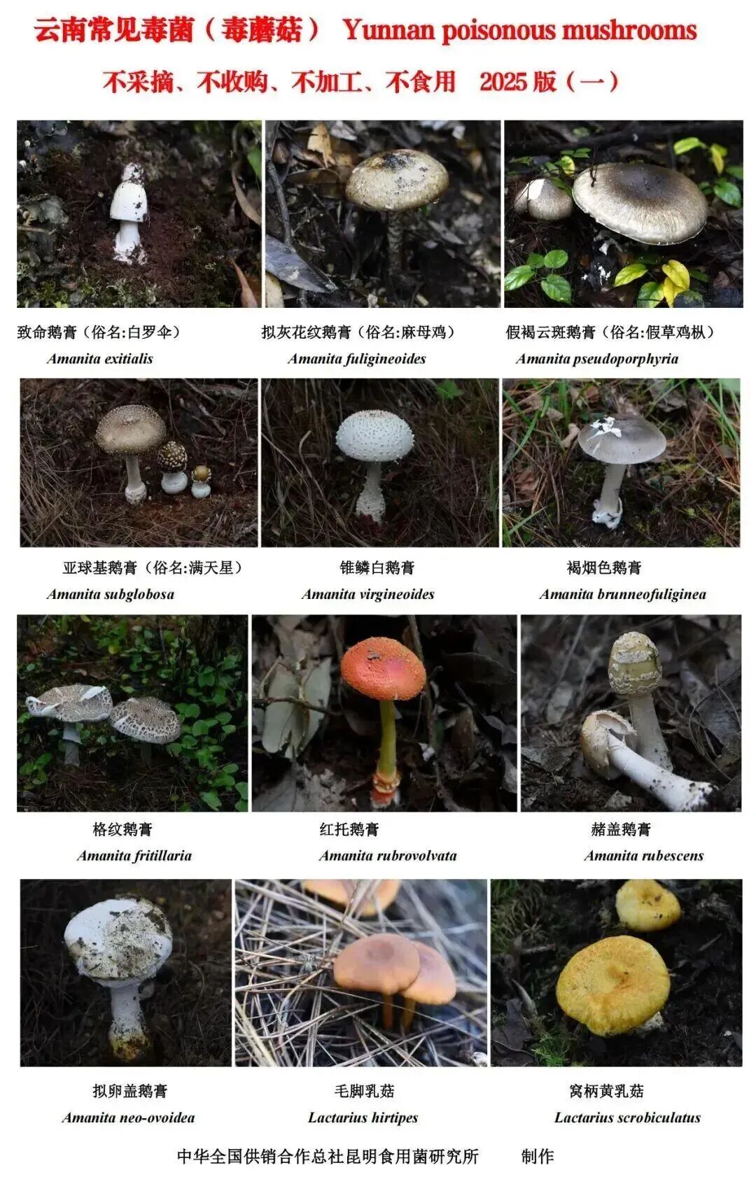 昆明广播电视台