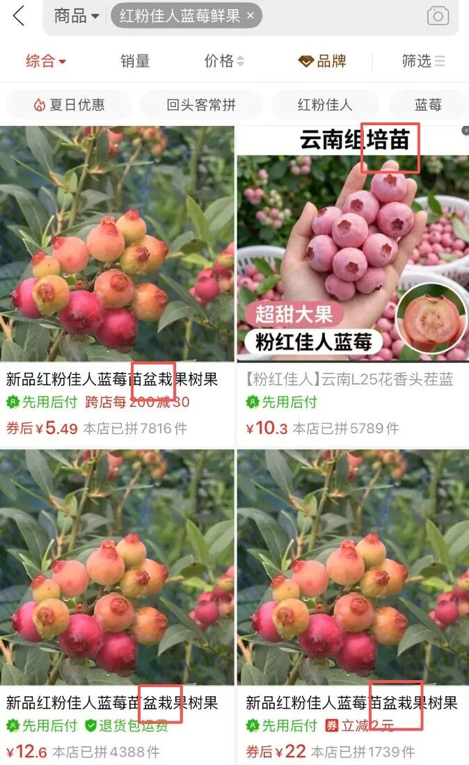 掌上春城微信