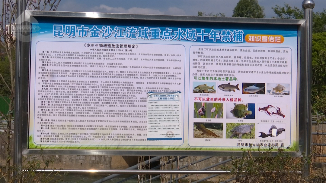 8099999街头巷尾微信