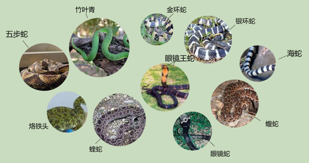 都市时报